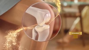 Капсулы Терафлекс®