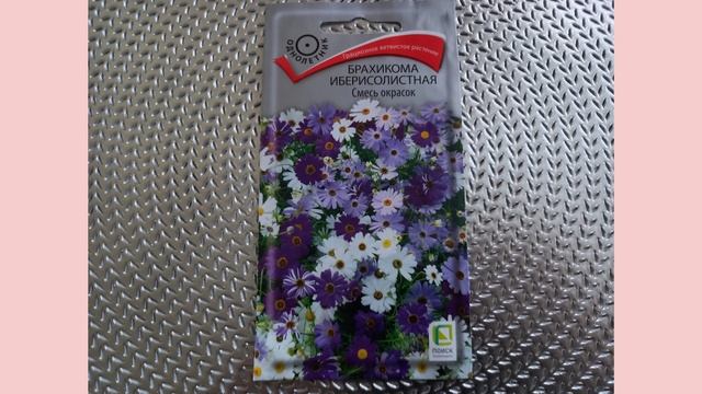 СЕМЕНА КРАСИВЫХ ЦВЕТОВ ИЗ МАГАЗИНА АШАН!!! смотреть онлайн