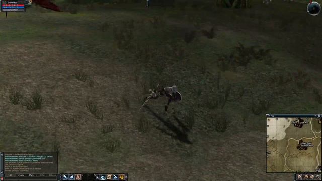 Lineage 2 C2 x3 Бегаю по несуществующим катакомбам и некрополям - Прохождение Часть 37 смотреть онлайн