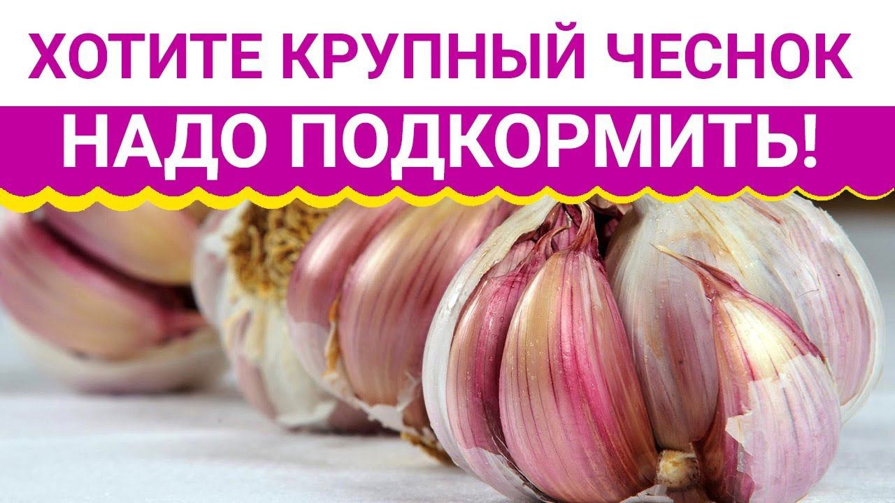 Садовый Мир