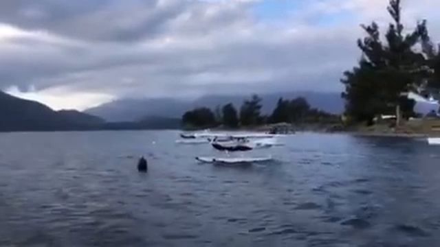 Te Anau New Zealand смотреть онлайн