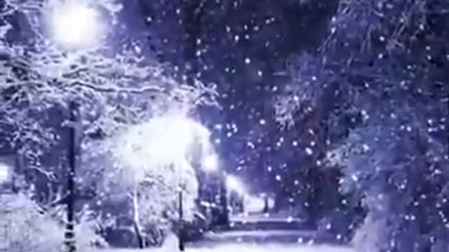 Поротиков Павел - с наступающим новым годом! смотреть онлайн