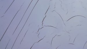 Как наносить_ _ Лак кракелюр. Эффект трещин. Наносим кракелюрный лак и штукатурка сама треснет.