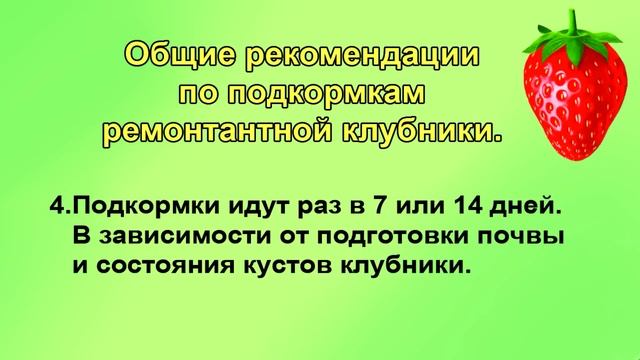 Обязательные подкормки ремонтантной клубники во время плодоношения. смотреть онлайн