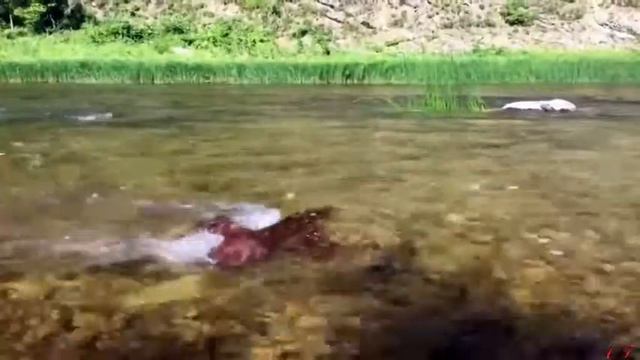 южный Урал смотреть онлайн