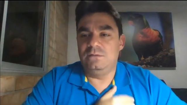 Curso de Forex Sesión 2 Aspectos Importantes Antes de Operar смотреть онлайн