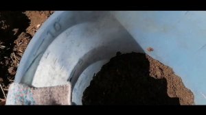 Подготовила термос-грядку для арбузов. Выращивание бахчи на пленке.