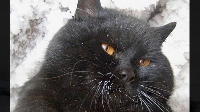 Мы домой не пойдём смотреть онлайн