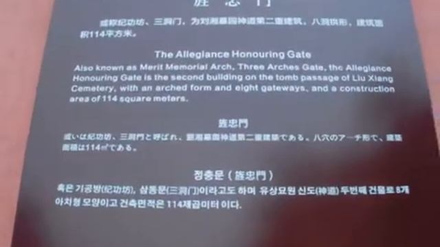 22 CHINA 2019 22 смотреть онлайн