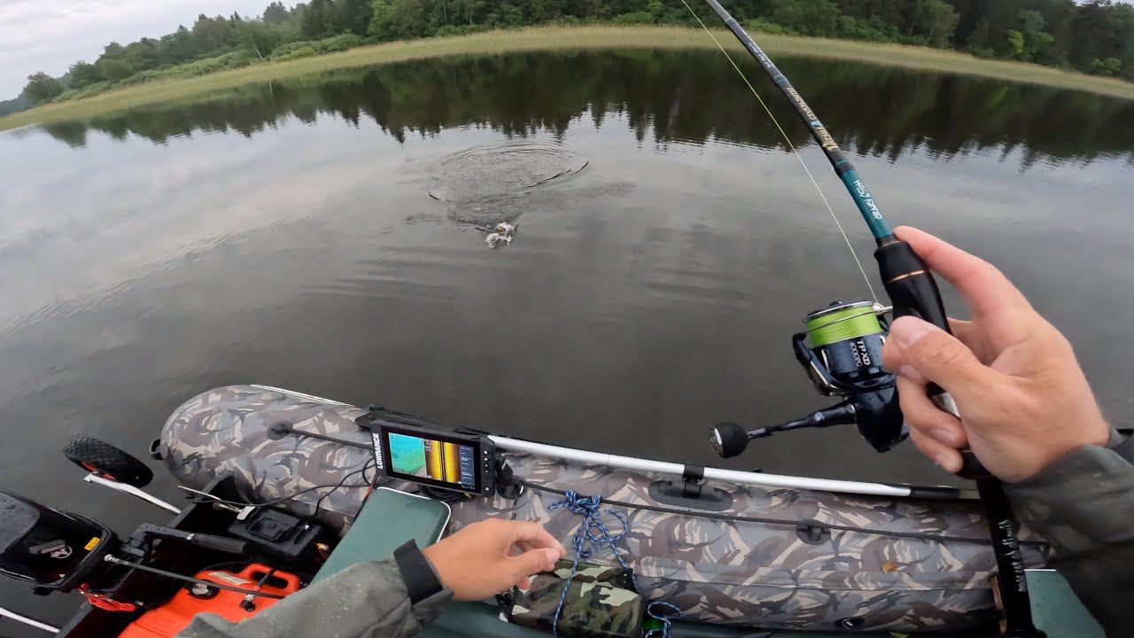 Отличный воблер по окуню Fishycat LIBYCA и не только .....