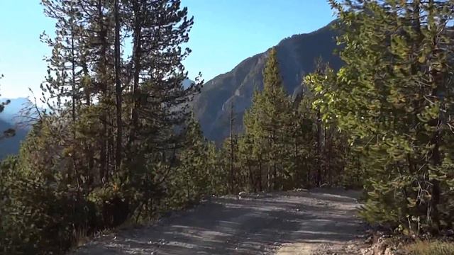 Волки и так далее смотреть онлайн