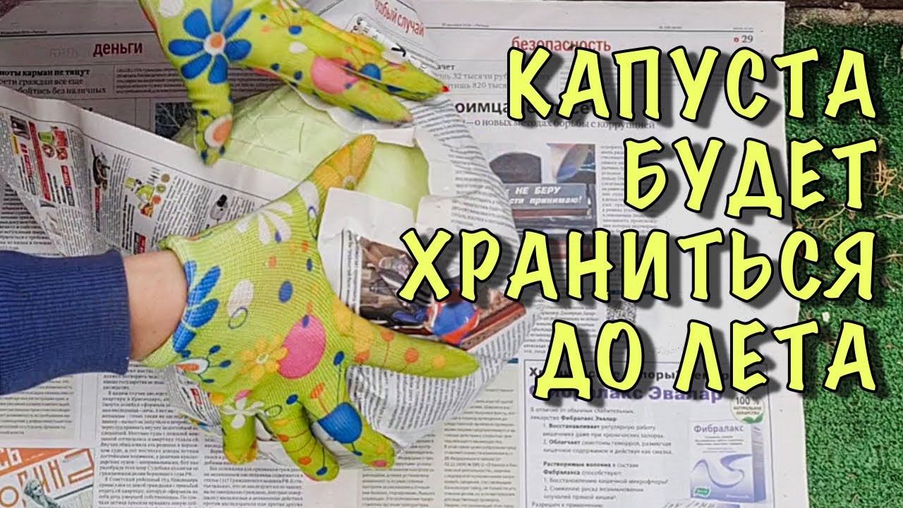 Сделайте ТАК и КАПУСТА будет ХРАНИТЬСЯ ДО ЛЕТА смотреть онлайн
