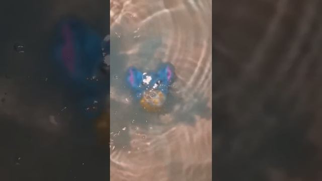 Stitch Badebombe von Primark testen 😳 смотреть онлайн