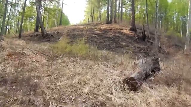 Сюда приходят дикие звери, а их поджидают охотники в таких избах смотреть онлайн