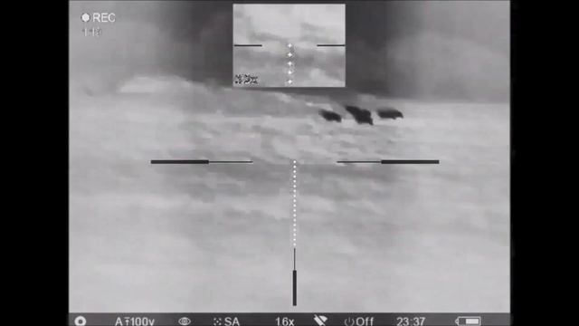 Three Boars Down - Pulsar Trail XP50 Thermal Sight смотреть онлайн