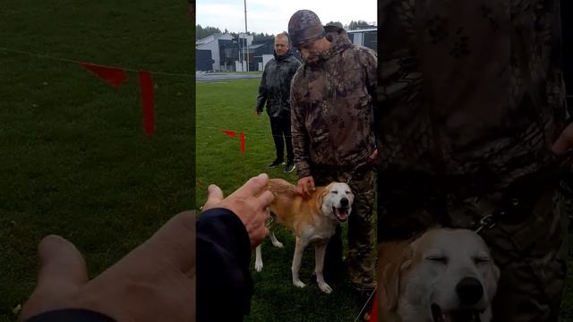 Старшая группа выжлецы1-2 смотреть онлайн