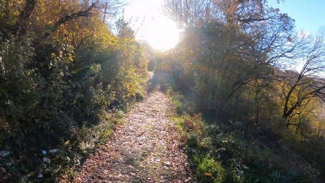 А что там за рекой? Подвесной мост над Псезуапсе. ?ЛАЗАРЕВСКОЕ СЕГОДНЯ?СОЧИ. смотреть онлайн