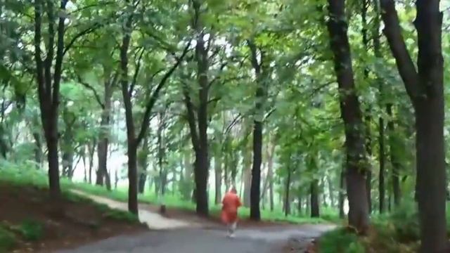 Кисловодский парк. Тропки, дорожки смотреть онлайн