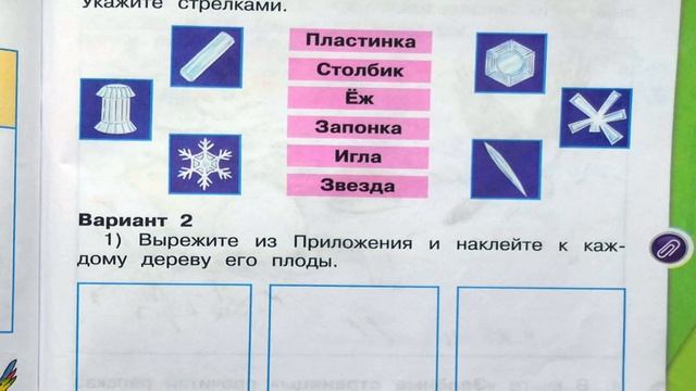 Окружающий мир. Рабочая тетрадь 2 класс 1 часть. ГДЗ стр. 82 №3 смотреть онлайн
