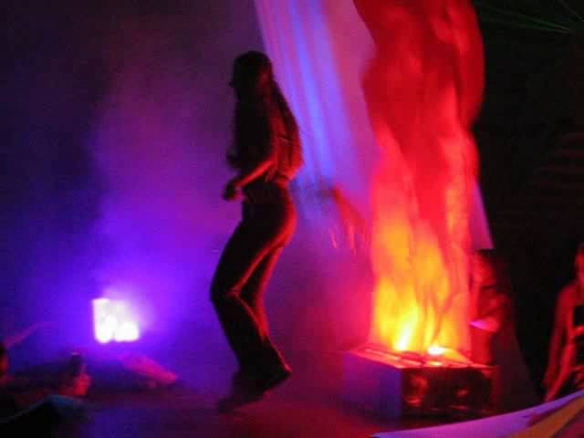 1200 Micrograms - Salvia Divinorum Wood DJset