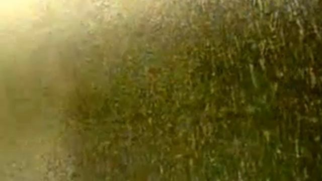 тертая шуба