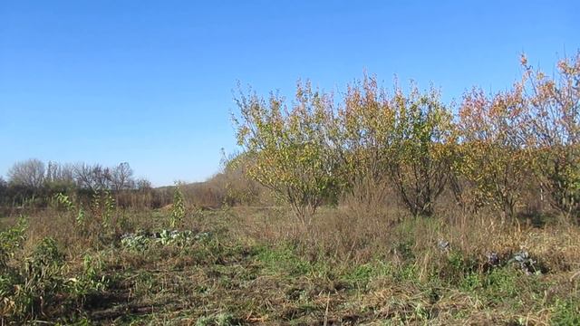 Виктор Безгодков. Может ли такое кому понравиться?.. смотреть онлайн