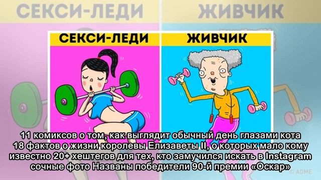 22 скучные и совершенно непримечательные фотографии из жизни специалиста по экзотическим животным смотреть онлайн