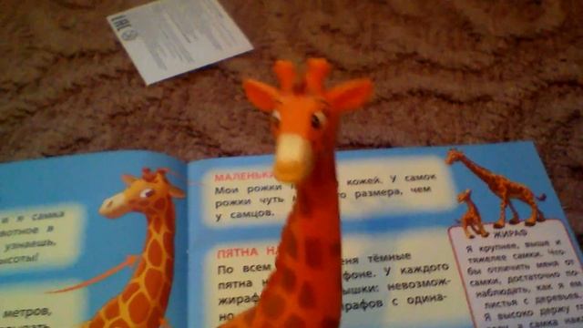 Распоковка набор звери саванны. смотреть онлайн