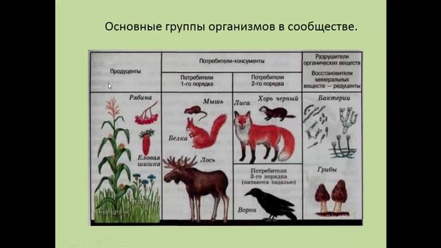 Биология. 9 класс. Биоценоз как сообщество живых организмов. Людмила Ивановна. Profi-Teacher.ru смотреть онлайн