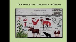 Биология. 9 класс. Биоценоз как сообщество живых организмов. Людмила Ивановна. Profi-Teacher.ru