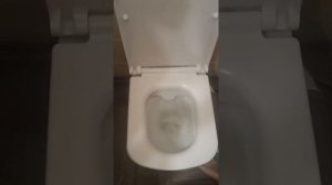 Babyblog "Тест-драйв безободковых унитазов Cersanit": отзыв Дарьи Гориной