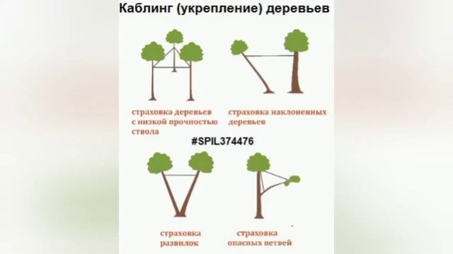 Каблинг, укрепление деревьев в Иванове смотреть онлайн