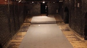 Этюд животное "Пингвин" 1 курс (актёрское мастерство)