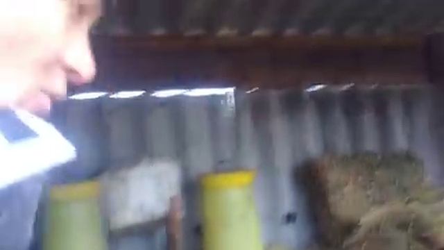 Уха в казане на костре из головы речного карпа и не много о нутриях. смотреть онлайн