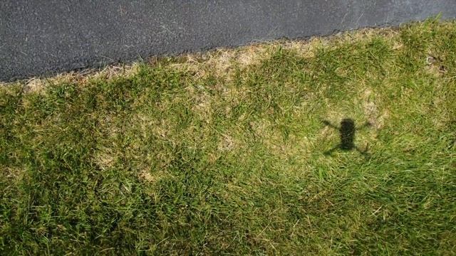 When You Send Your DJI Drone on a "Mission" to read a Sign! Anyone Else Do This? смотреть онлайн