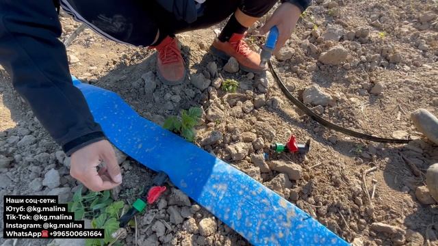 Тамчылатып сугаруу Капельный полив Бассейн для полива Как установить капельную систему своими рукам смотреть онлайн