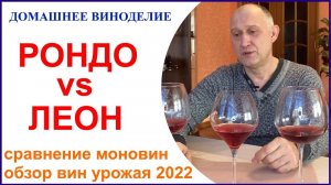 Сравнение моновина из сортов Рондо и Леон Мийо, а также пару слов о других винах сезона 2022 года.