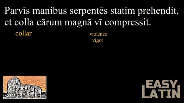 Intermediate Latin Lesson #2 Second Series | Learn Latin through Stories - Hercules смотреть онлайн