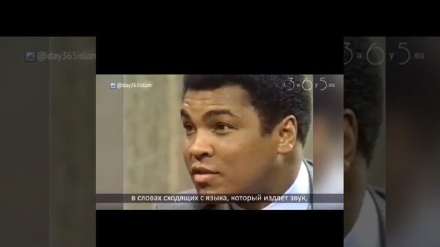 КАКИЕ СЛОВА, КАКАЯ МУДРОСТЬ!!!! МАШАЛЛАХ!!! смотреть онлайн