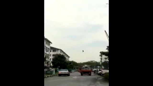 Птицы застыли в воздухе смотреть онлайн