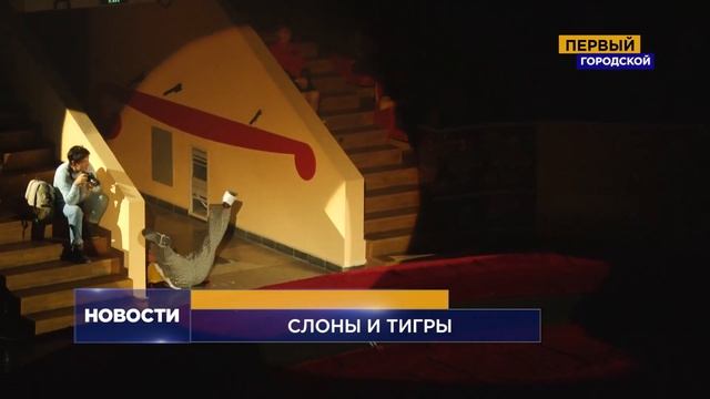 РЕКЛАМА цирк слоны и тигры смотреть онлайн