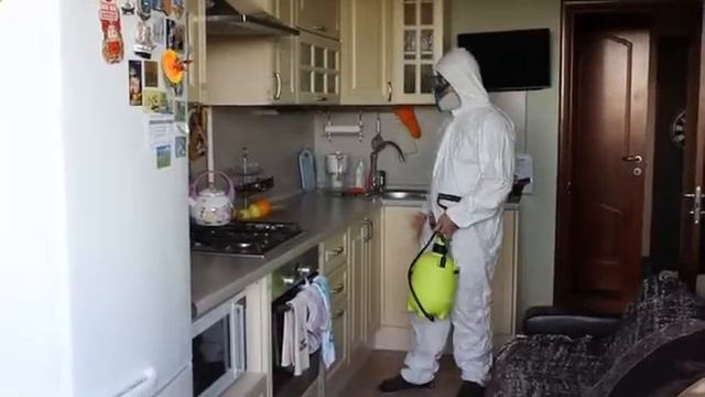 Методы_борьбы_с_тараканами - Как_провести_дезинсекцию? смотреть онлайн