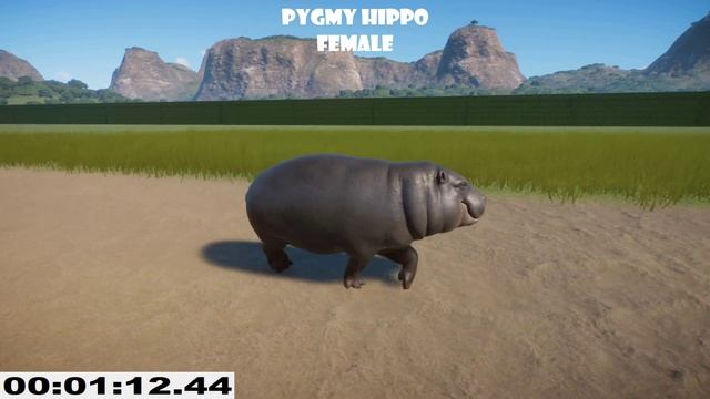 Hippopotamus vs Pygmy Hippo Animals Speed Races in Planet Zoo смотреть онлайн