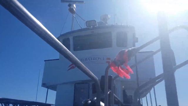Рыбалка на Хиртсхальсе, Дания 6 смотреть онлайн