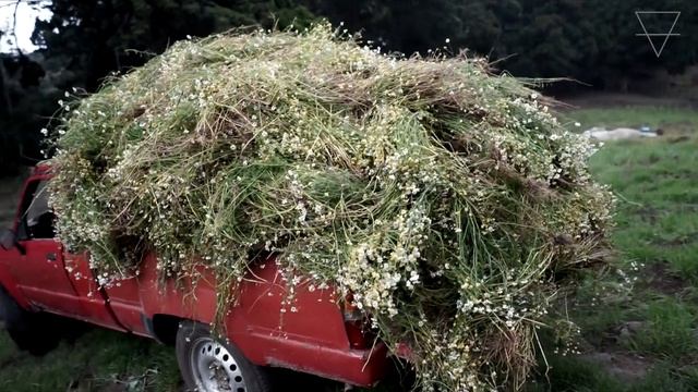 Tierra #ElementChef смотреть онлайн