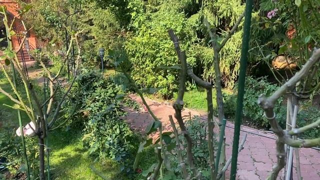 Загляните в мир красоты