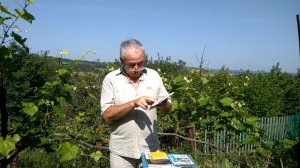 @Начинающему виноградарю и садоводу ДНОК и борьба с тлей