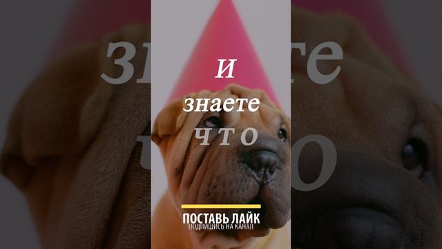 Знаете что ... смотреть онлайн