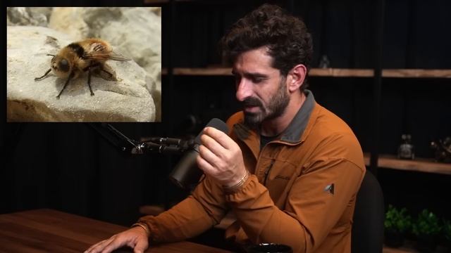 Story of a deadly infection in the Amazon jungle | Paul Rosolie and Lex Fridman смотреть онлайн