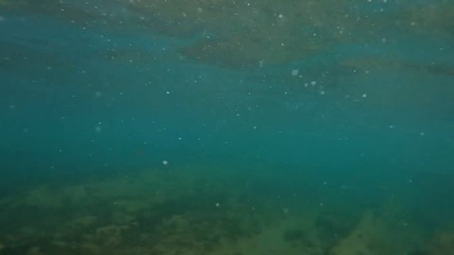 АНАПА - БАНЯ И КУПАНИЕ В МОРЕ ЗИМОЙ - СПА ПО НАШЕМУ! смотреть онлайн